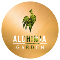 Logo Cocoșul de Aur - Alchimia Garden - Târgu Mureş