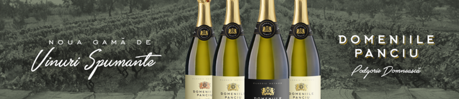 Domeniile Panciu - Restaurant  în Târgu Mureş