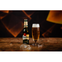 Pilsner Urquell 330 ml BAUTURI la Rexo Fried Chicken din Târgu Mureş
